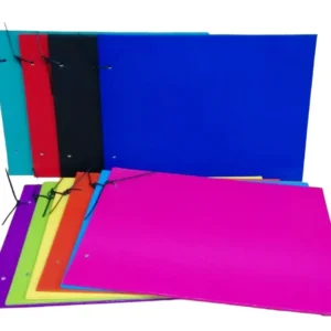 Carpeta Ezco Para Dibujo Forrada PVC N-5